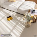 사계절 | 스타일러그 모노 러그 거실 카페트 워셔블 사계절 후기 🏠