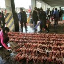 해양회대게센타 이미지