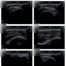 분당슬기로운마취통증의학과의원 이미지