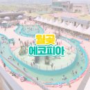 [월곶에코피아] 여름 마지막 이용후기! 준비물 주차 운영시간 먹거리 등
