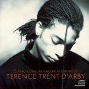 Terence Trent D'arby - Wishing Well 이미지