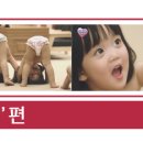 (주)하쿠호도제일 네이버블로그