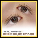 무아뷰티스튜디오운정속눈썹펌&눈썹