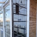 고양이 별 | 오션뷰 캠핑장 | 강화도 해그림 캠핑장 별 사이트 후기(고양이 자만추 가능!)