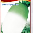 흥농농약종묘사 이미지