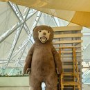 바니베어뮤지엄 이미지