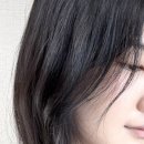 룸이야 | 차홍룸 동탄점 신지안 디자이너 그레이스펌 후기