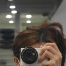 토브 남성컷
