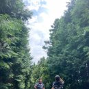 정이목장 이미지