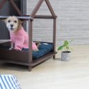 스테이스테이 이미지