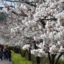 여기산공원 사거리 이미지