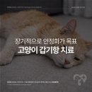 심동물병원 이미지