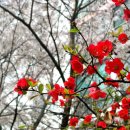 개인(방정식) 이미지