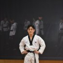 태권한류 이미지