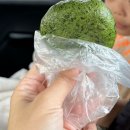코시롱보리빵