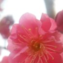 메아리민박 이미지