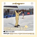 알펜시아 스키 & 스노우보드 | 알펜시아 리조트에서 반나절 스키 타고 온 후기, 리프트 할인 정리