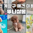 뚜니살롱 이미지