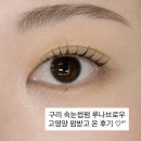 이루네 애완미용샵 | 구리 속눈썹펌 구리 속눈썹펌 | 루나브로우 고영양 클리닉펌 받고 온 후기