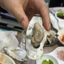 호박회수산물포차 굴보쌈 후기｜수완지구 굴 맛집 인정