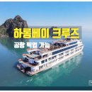 크루즈