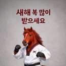 용인대 멘토 태권도장 이미지
