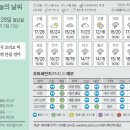29 이미지