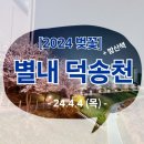 덕송천 | [2024년 벚꽃 나들이] 별내 덕송천 산책로 실시간 후기 : 24.4.4 기준