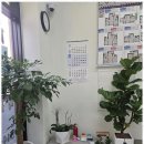 계양부동산공인중개사사무소 이미지