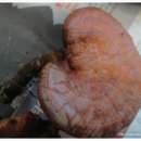 산이래농원 이미지