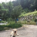 준독트레이닝센터 이미지