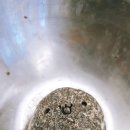 금곡초등학교(병설) 이미지