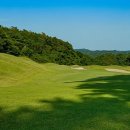 보보스(BOBOS)