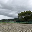 칠암강변 둔치 파크골프장 | 광양 섬진강유채꽃단지 황화코스모스 실시간 후기, 9월 가볼 만한 곳
