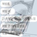 세윤푸드 | 진짜여름 7월