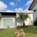 스테이 도노 이미지