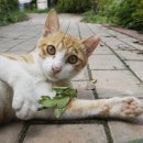 반포자이동물병원 이미지