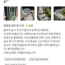 무동풋살장 | 창원 방충망 미세 촘촘망 진주 마산 내서 할인 시공 후기