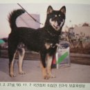 홍이 이미지