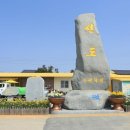 선도수선화 이미지