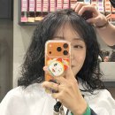 여의대방로69길 | 여의도미용실 젤리펌 후기 바운스플로 여의도 KBS별관점 나빈 디자이너