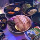 유나농장 | 2026년 1월 일상 | 새해 시작, 제주여행 그리고 새로운 시작