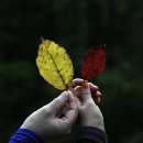 별그대 민박 이미지
