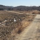 신현2농로 이미지