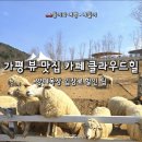 대화목장 | [가평 아이랑] 7살 둥이와 가평 양떼목장! (입장료 할인 꿀팁, 튜브썰매, 카페까지)