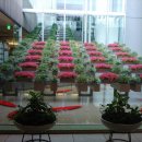 프라자호테르 이미지