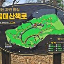 탄금대로 이미지