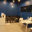 멍뭉네 이발관 이미지