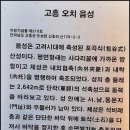 도화버스공용터미널 Daum카페