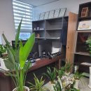 솔향 행정사 사무소 이미지